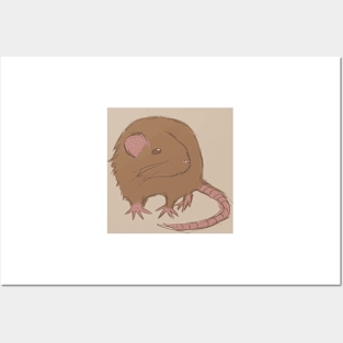 Round Brown Rat (or mouse if you prefer) Posters and Art